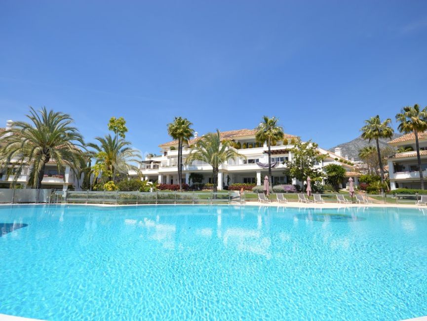 Magnificent five bedroom apartment in Monte Paraiso.