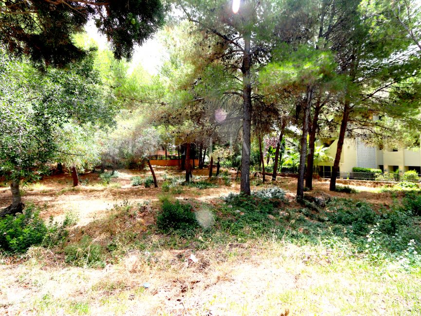 Unique Plot with commercial License in Cascada de Camojan.