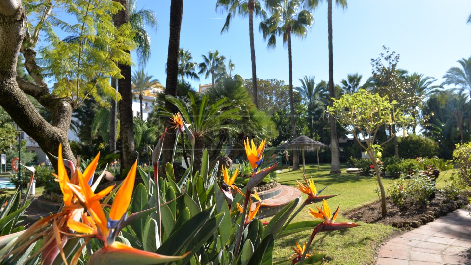 Marbella - Puerto Banus, Apartamento de lujo en primera línea de playa en Puerto Banús
