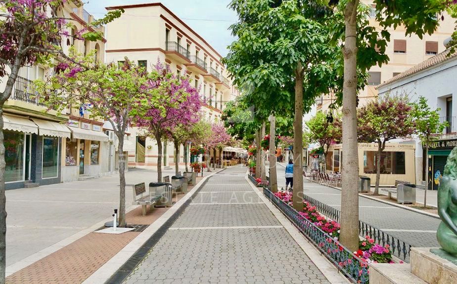http://www.futurehomesspain.com/en-286-00287P_apartment-estepona+centro-estepona.html