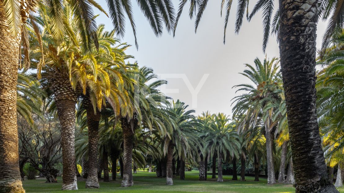 Villa El Jardín: Andalusian elegance in Sierra Blanca, Marbella