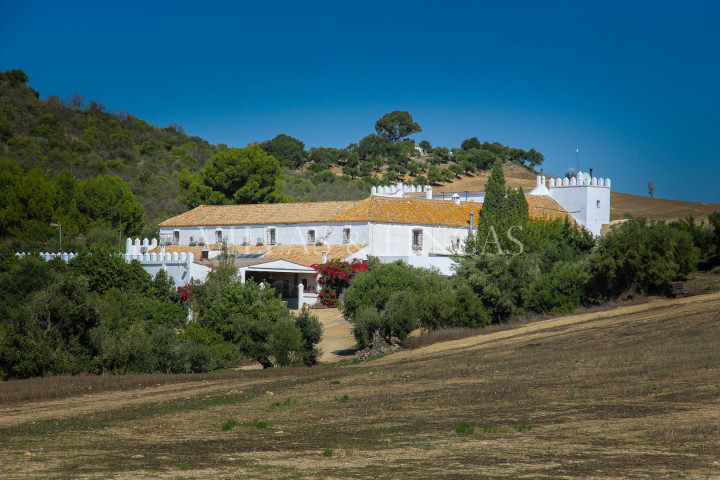 Arcos de la Frontera, Large cortijo, Country Estate, Hacienda with olive grove
