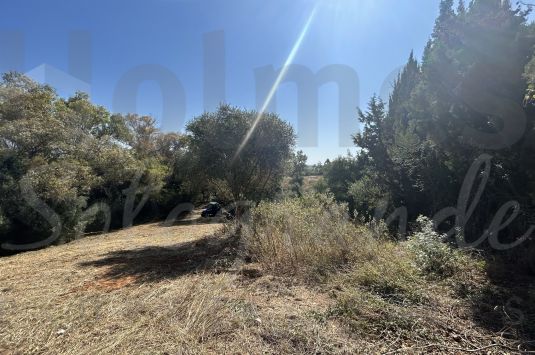 Fantastic plot located in the sought after area of the B Zone in Sotogrande Costa and walking distance to Galerias Paniagua.