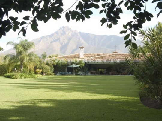 El Vicario, Marbella Golden Mile