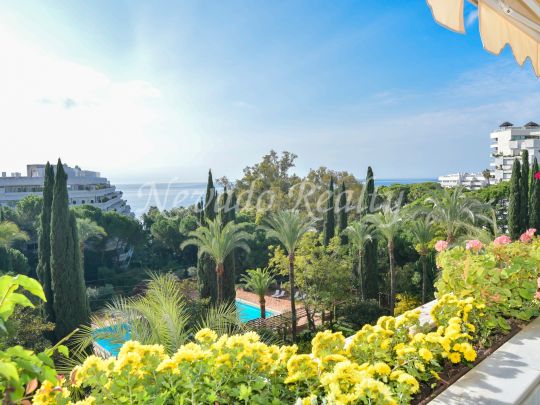 Don Gonzalo, Marbella