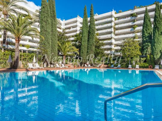 Don Gonzalo, Marbella