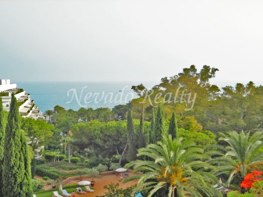 Don Gonzalo, Marbella
