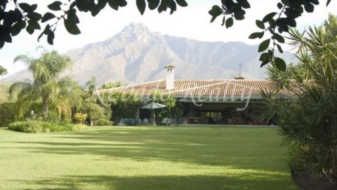 El Vicario, Marbella Golden Mile