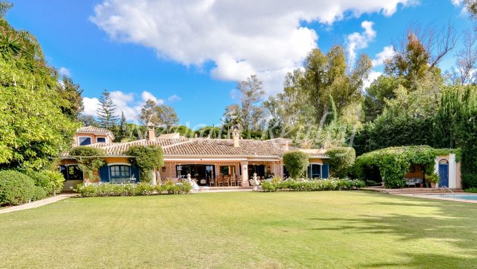 Pavona Real, Marbella