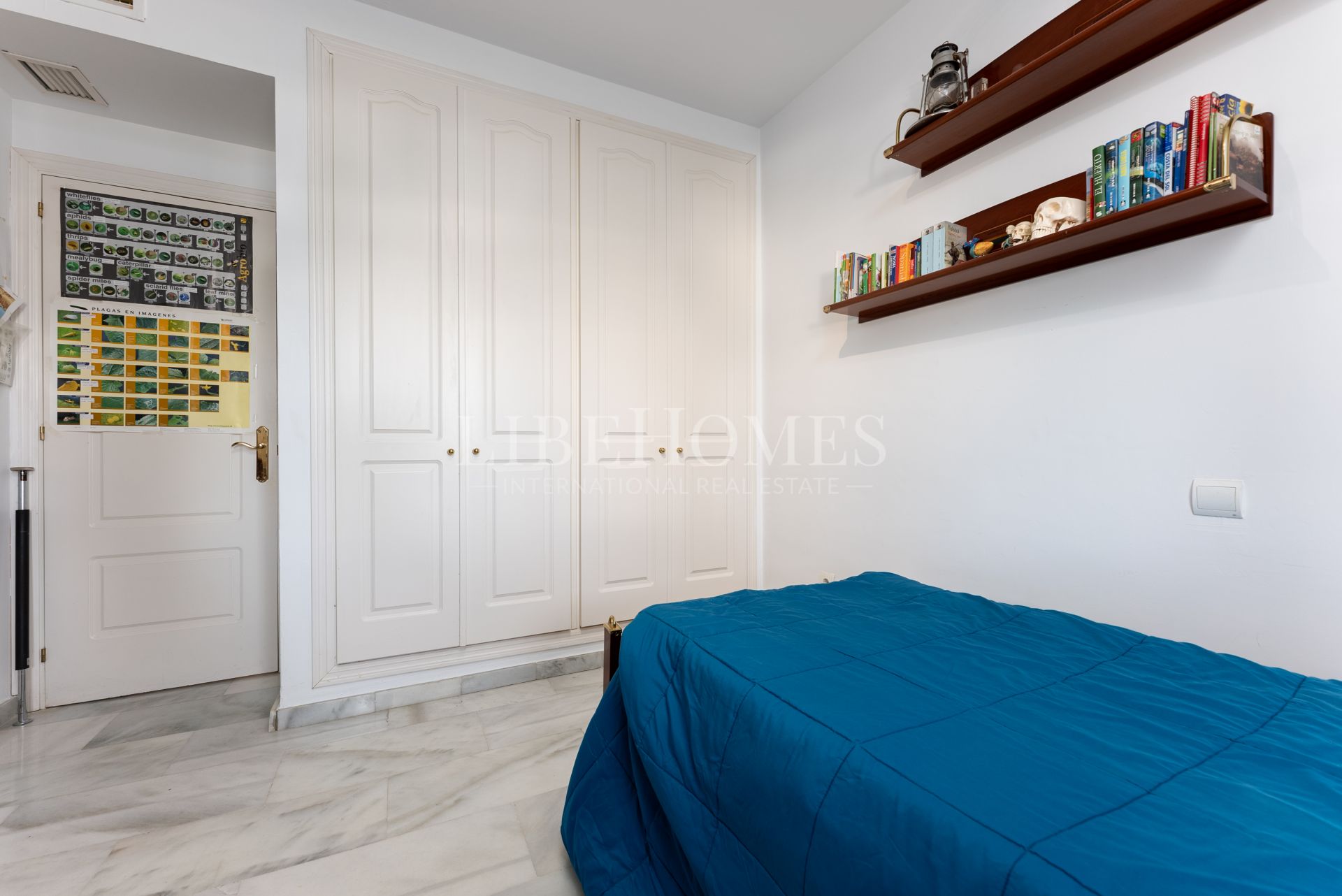 Sea side, south-oriented apartment, steps from the beach, Puerto Banus