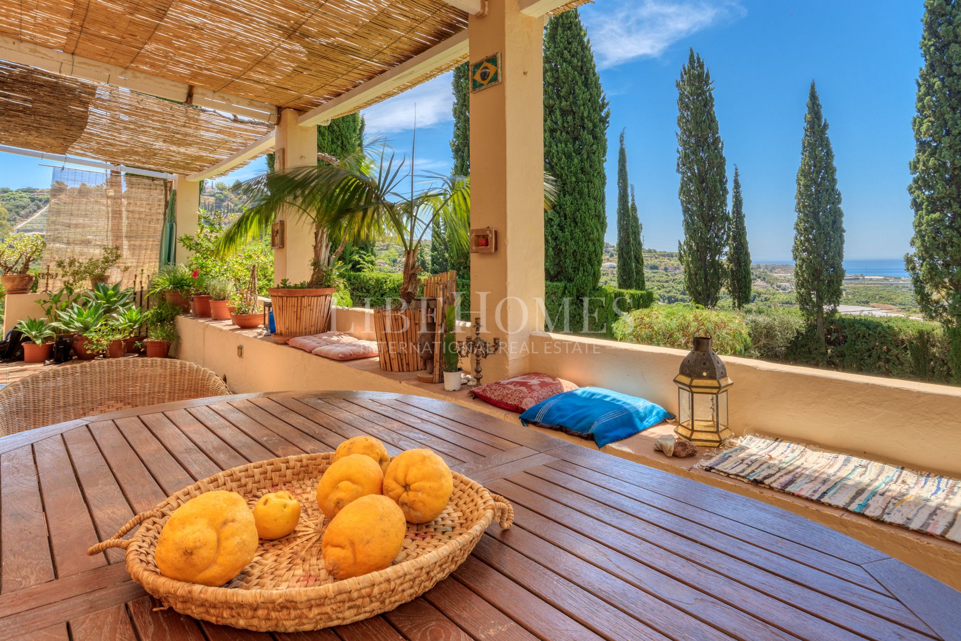 Finca for family use or perfect as a rural hotel in Frigiliana, Málaga