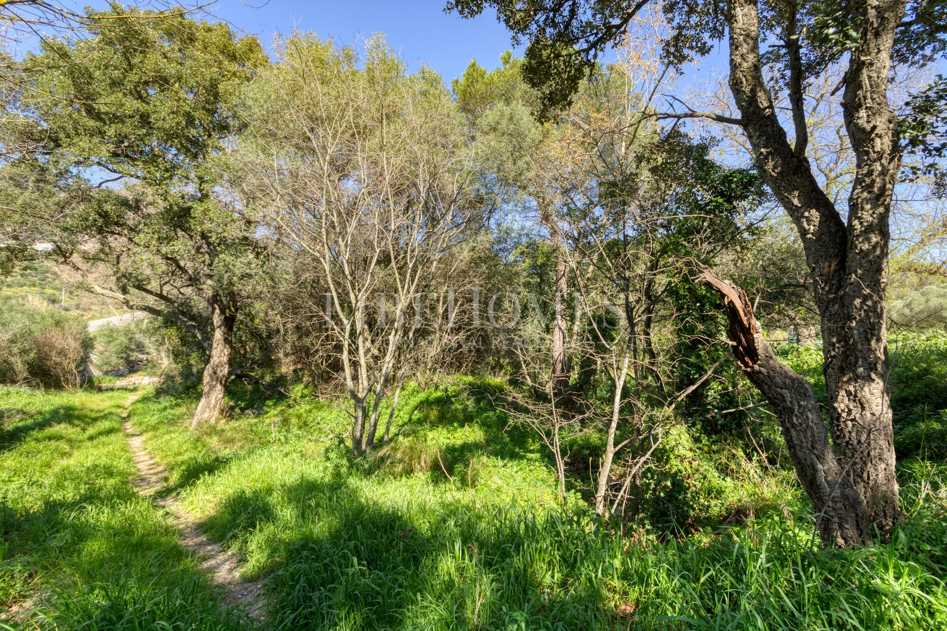 Maison de campagne de 40 hectares à la baie de Roses (Costa Brava)