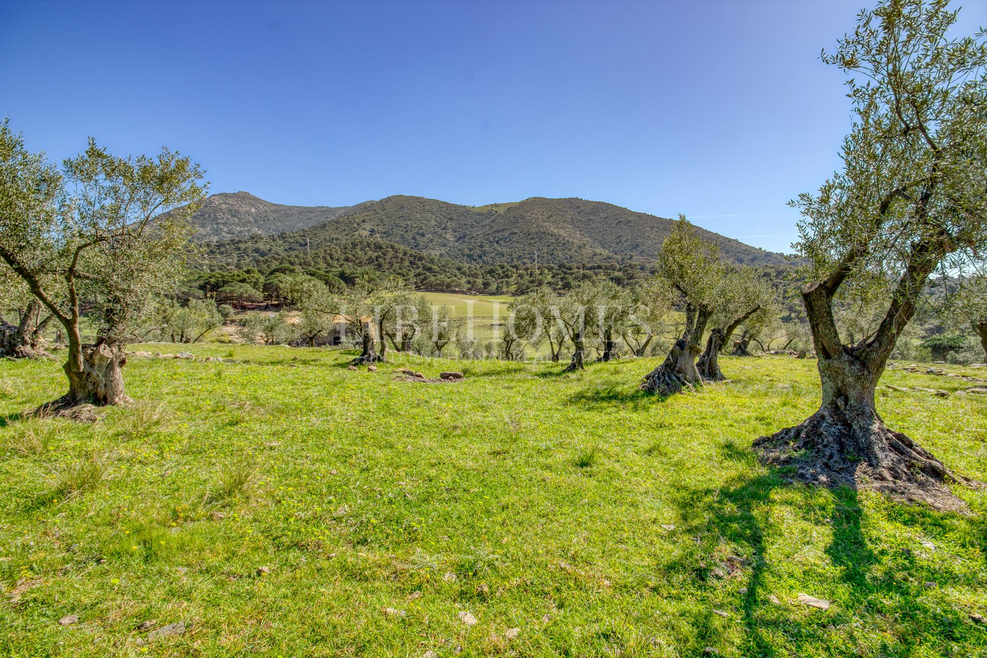 Maison de campagne de 40 hectares à la baie de Roses (Costa Brava)