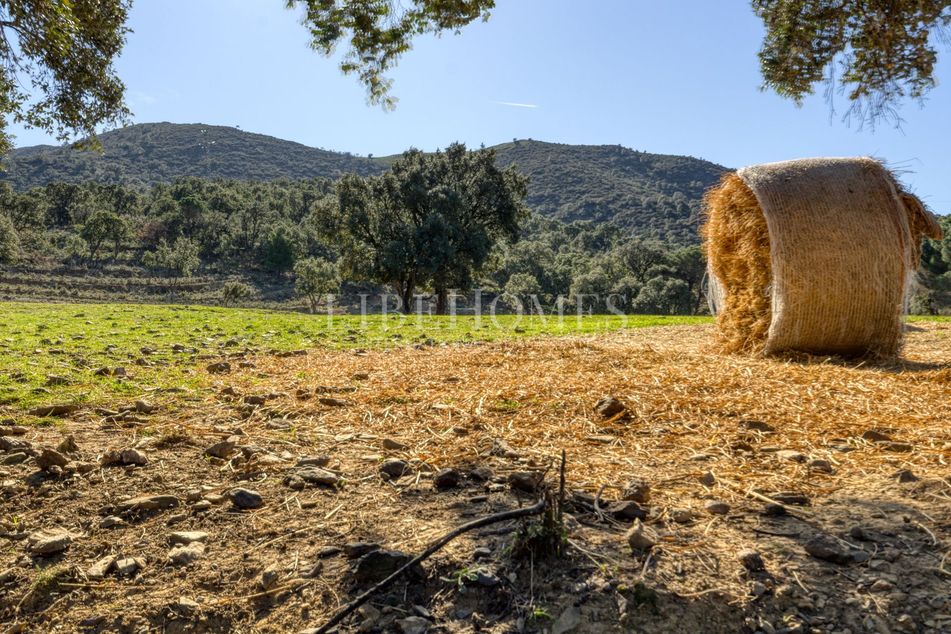 Maison de campagne de 40 hectares à la baie de Roses (Costa Brava)
