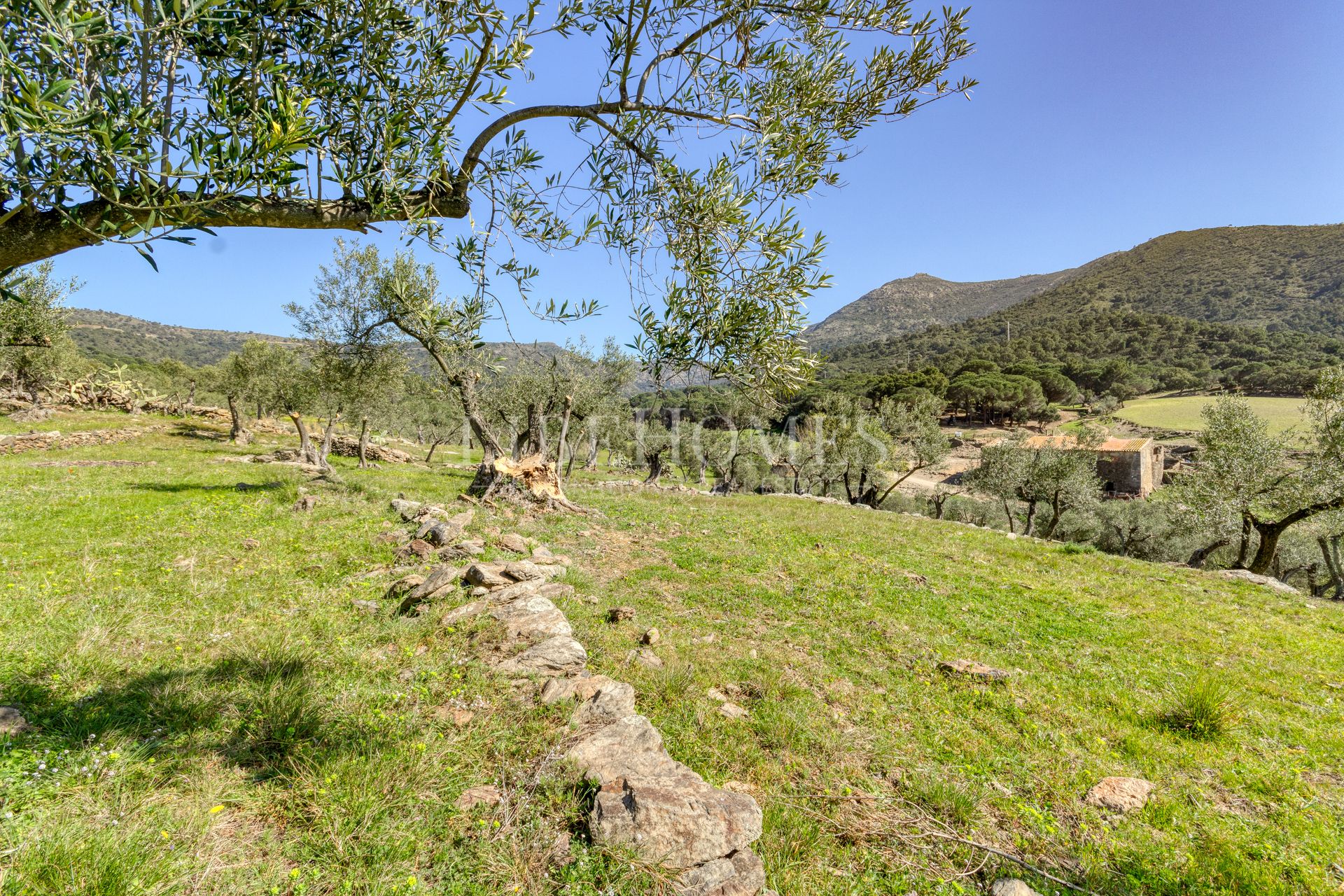 Maison de campagne de 40 hectares à la baie de Roses (Costa Brava)