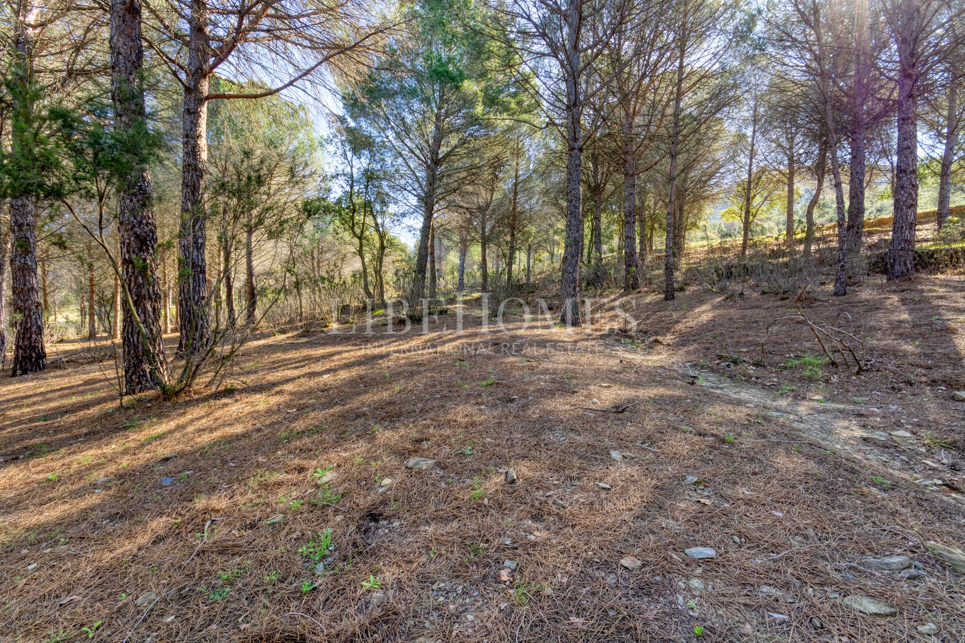 Maison de campagne de 40 hectares à la baie de Roses (Costa Brava)