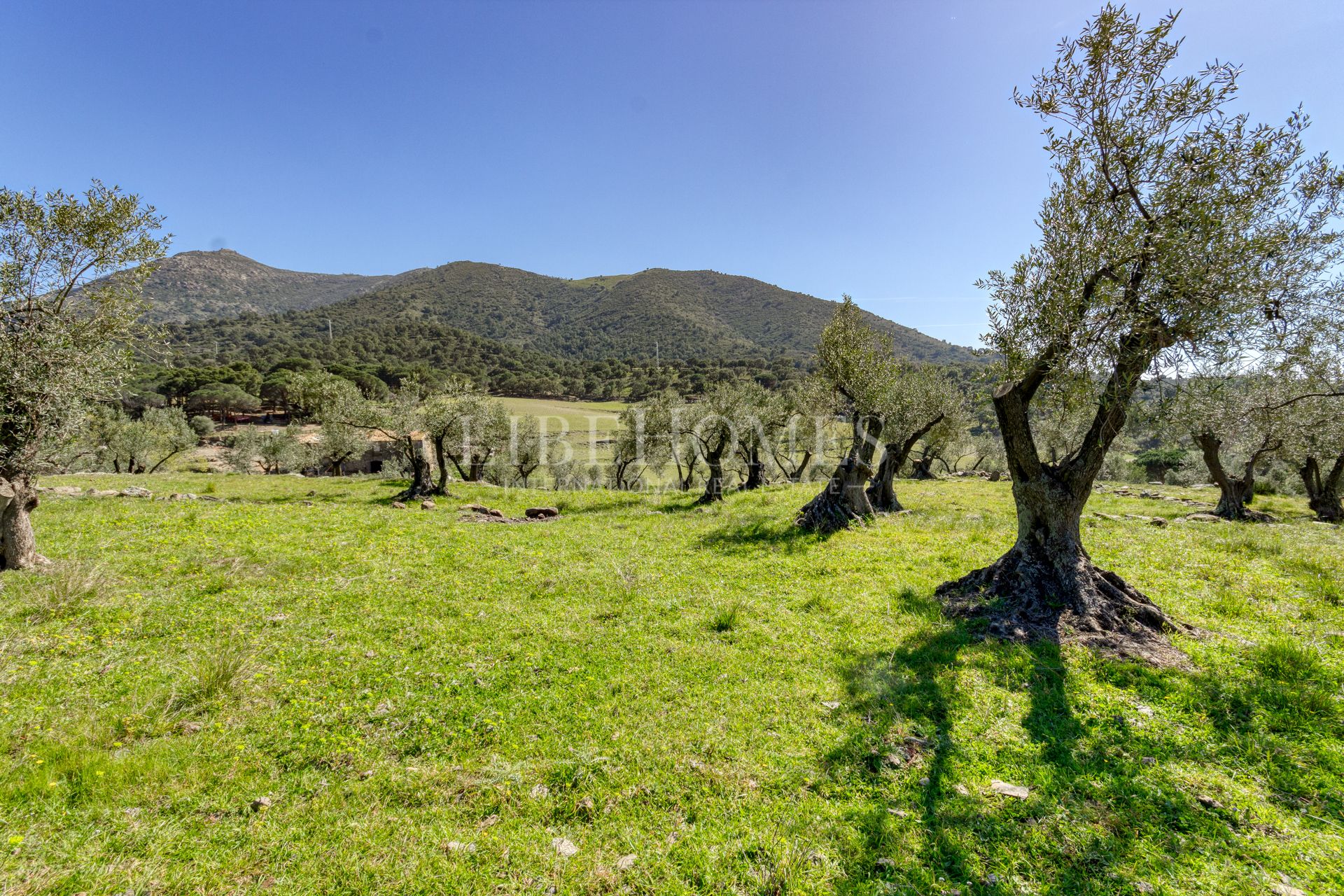 Maison de campagne de 40 hectares à la baie de Roses (Costa Brava)