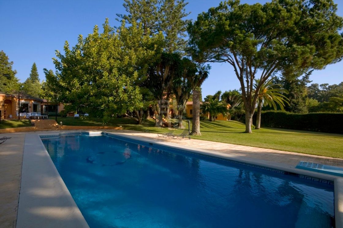Properties for holiday rent in San Pedro de Alcantara