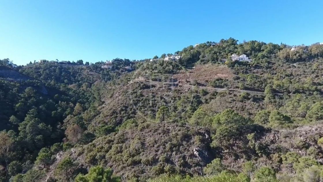Properties for sale in Marbella