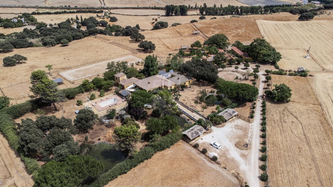 Properties for sale in Marbella