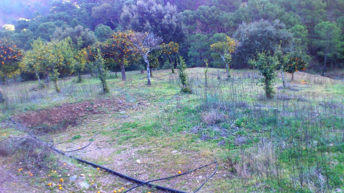 Great piece of land in the national park