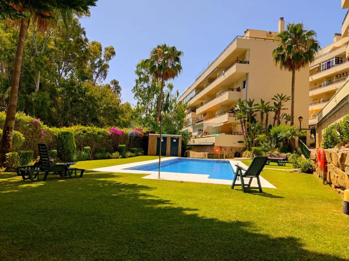 Great apartment in the Monte Paraíso