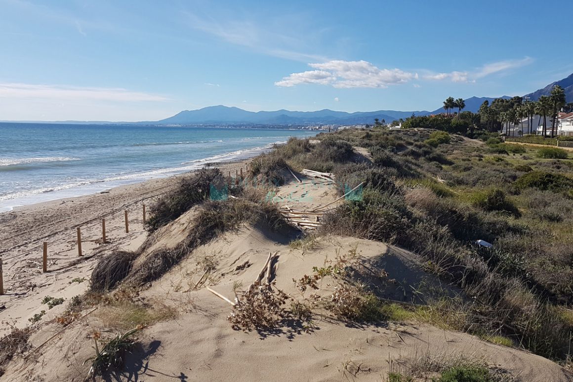 Business for sale in Elviria, Marbella East