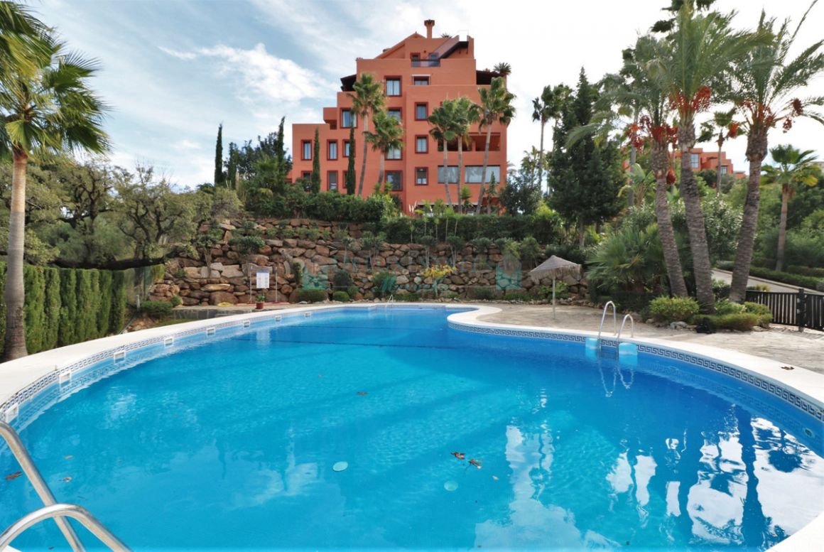 Ground Floor Apartment for sale in Ojen