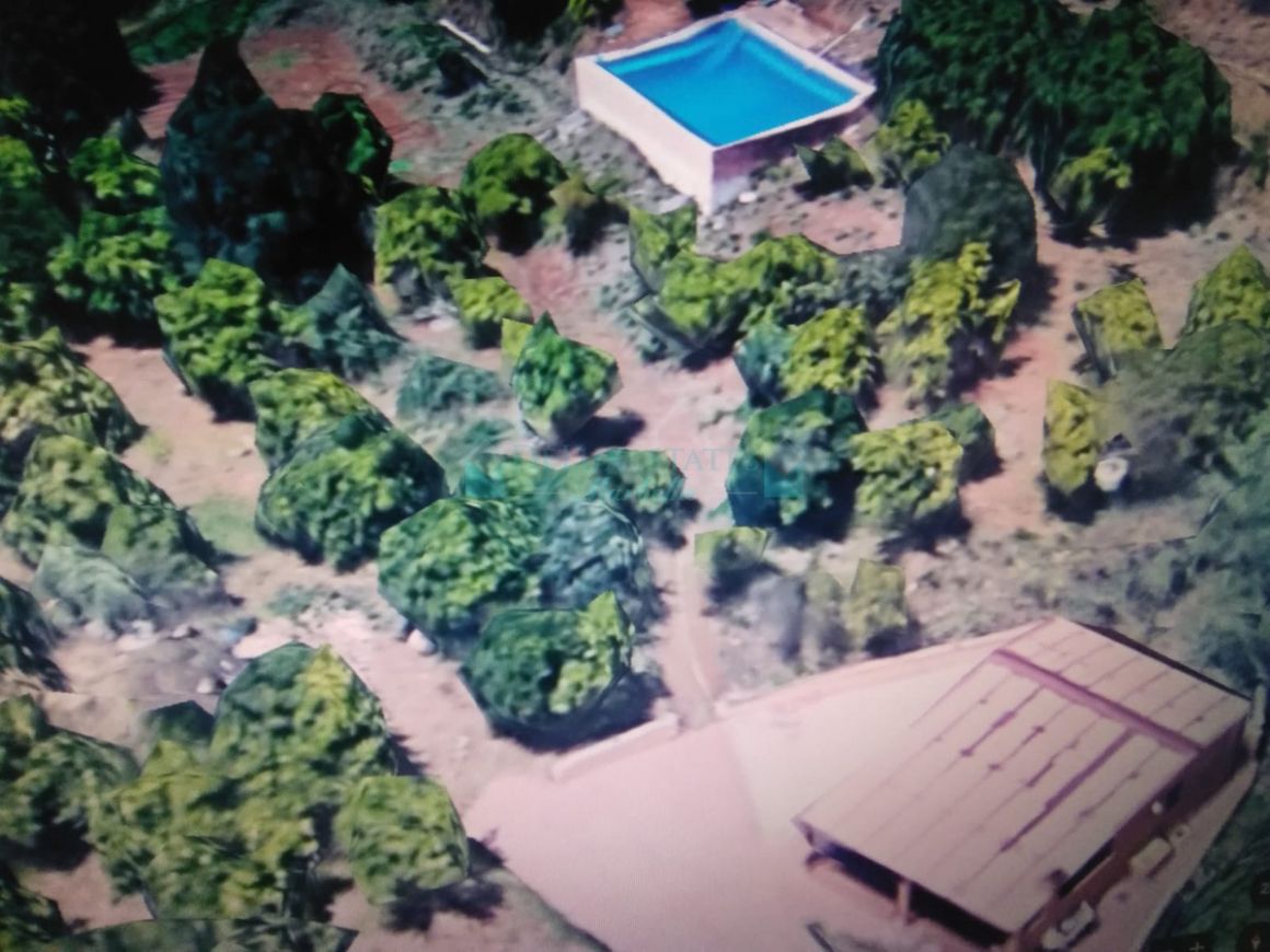 Villa en venta en  El Padron, Estepona
