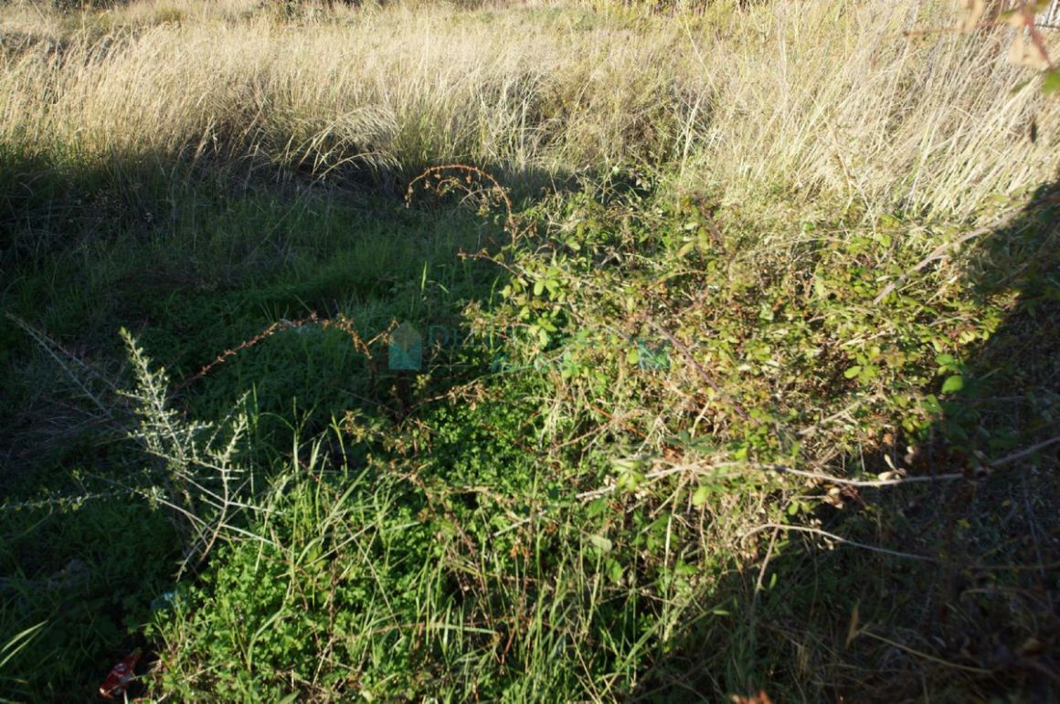 Industrial Land for sale in San Pedro de Alcantara