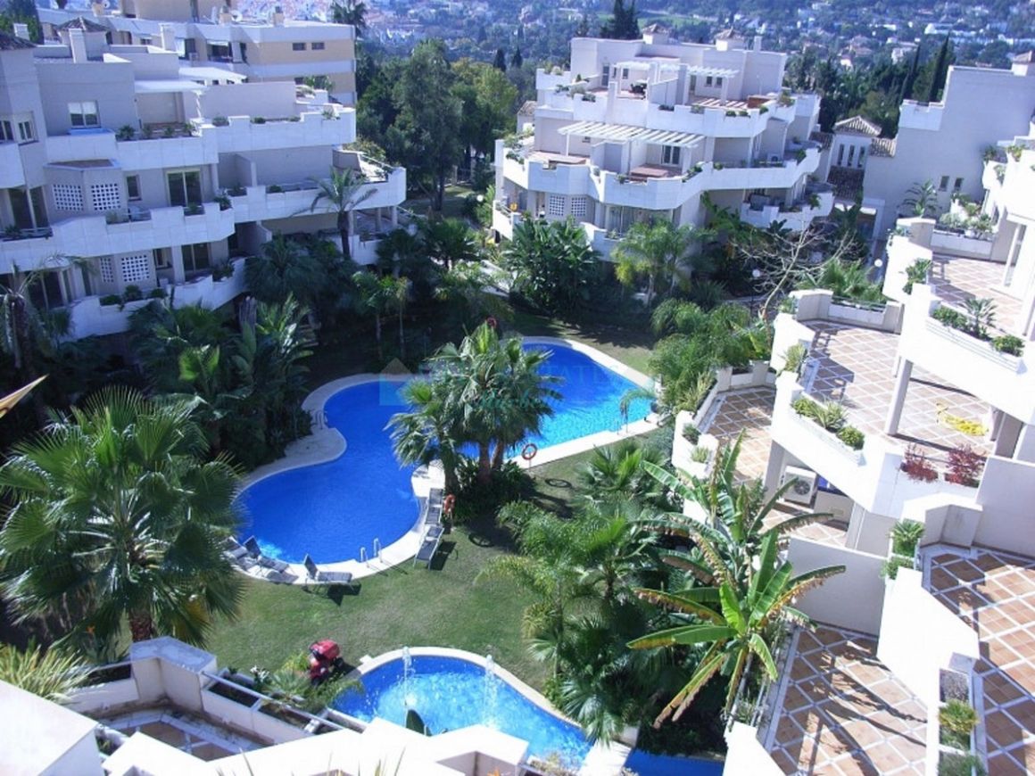Apartment for rent in Nueva Andalucia