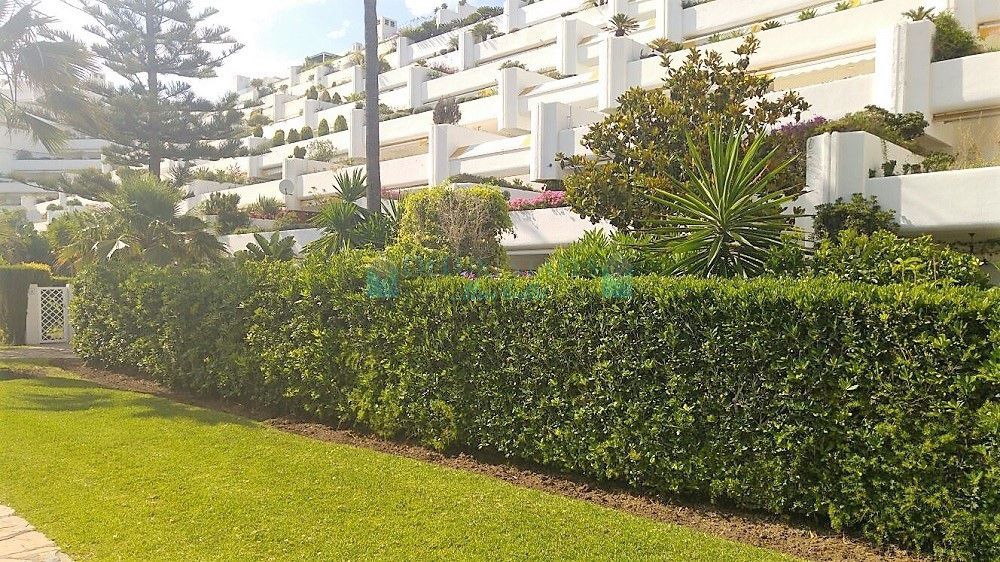 Ground Floor Apartment in Estepona