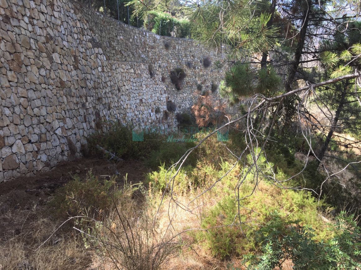 Plot for sale in Benahavis