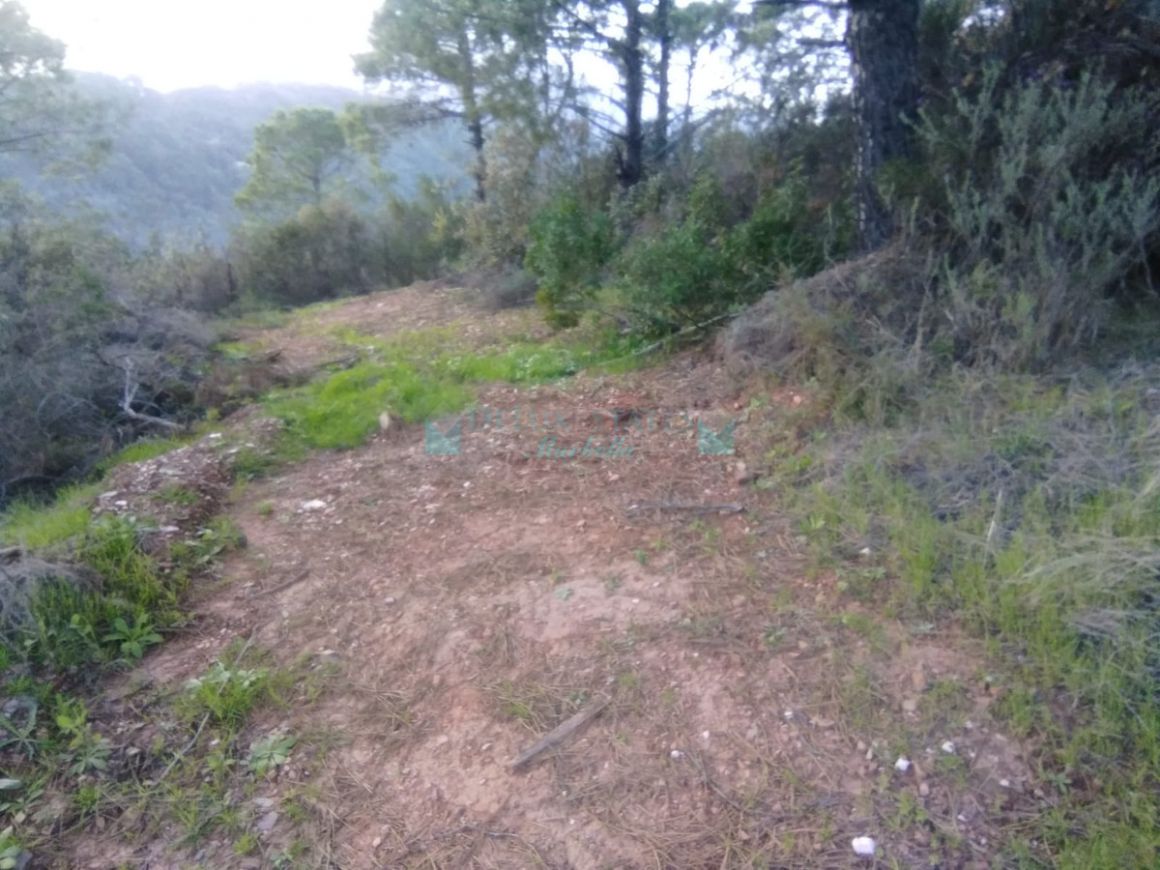 Plot for sale in El Padron, Estepona
