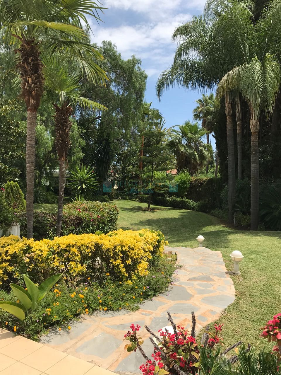 Villa for rent in Nagüeles, Marbella Golden Mile