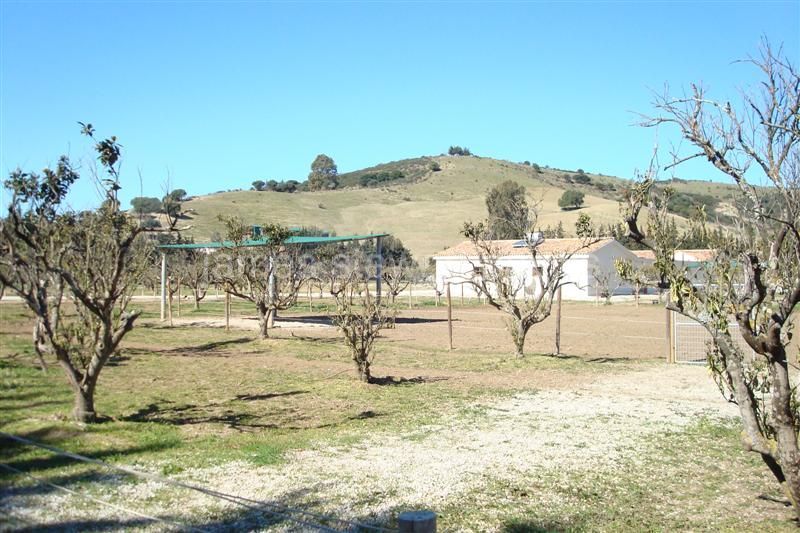 San Martin del Tesorillo, Newly constructed equestrian finca close to Sotogrande with OCA licence