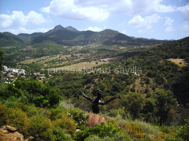 Gaucin, Create your own paradise in a wonderful piece of land near Gaucin