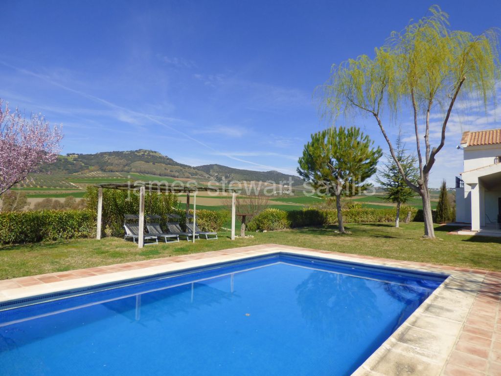 Arriate, Refurbished modern style villa close to Ronda with orchard and olive trees