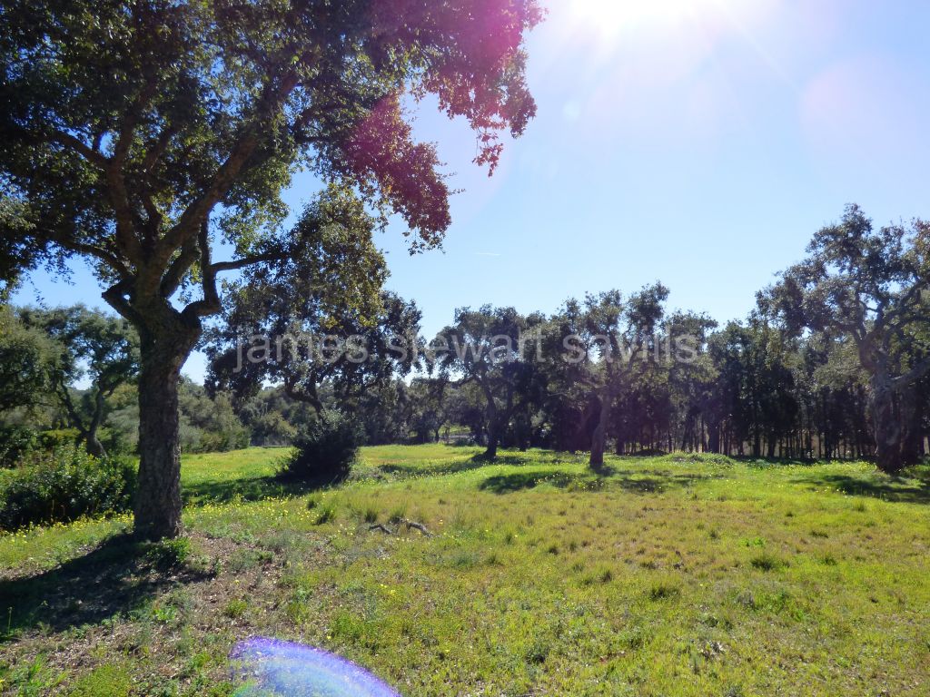 Sotogrande, Wonderful 7644m2 plot frontline to Real Club Valderrama