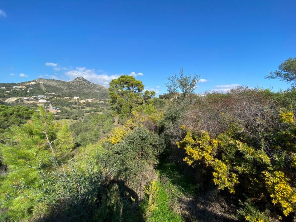 Terrain spacieux avec vue imprenable sur la mer à vendre dans le Marbella Club Golf Resort, Benahavis