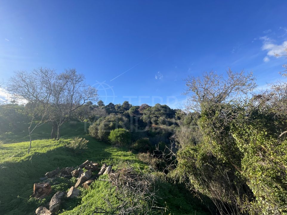 Finca rústica con 2 viviendas y vistas al mar en una amplia parcela en venta en Estepona