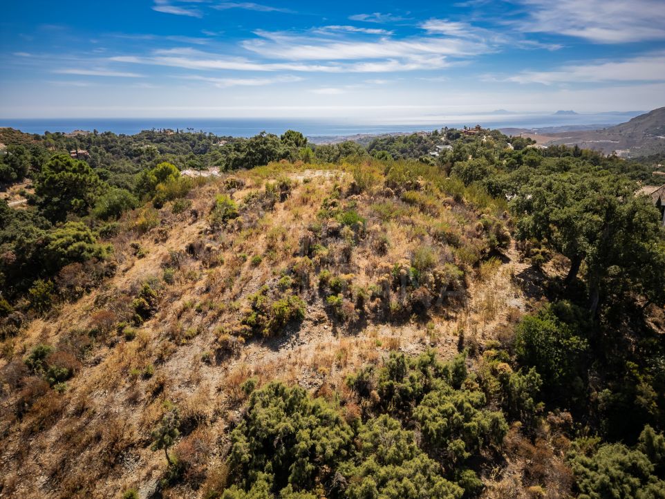 Amazing plot with project for sale in La Zagaleta with panoramic sea views