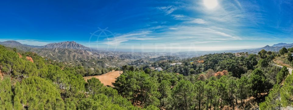 Parcelle exceptionnelle à vendre dans le secteur A de La Zagaleta avec vue panoramique sur la mer