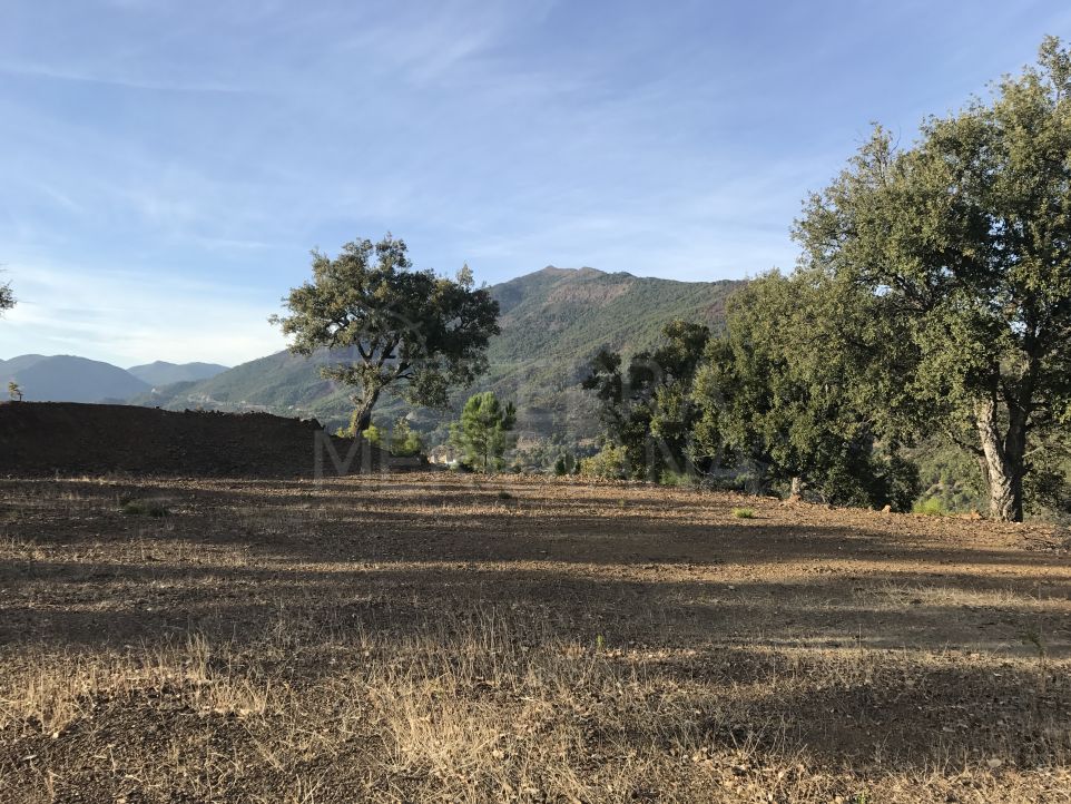Terrain avec vue sur mer incluant projet, la Zagaleta, Benahavís