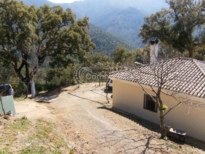 Jubrique, Rustic finca with 3 bedrooms on a large plot in Jubrique.