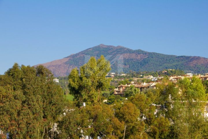 Properties for sale in Marbella