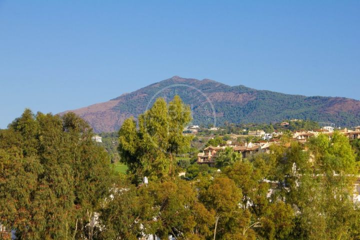 Properties for sale in Marbella