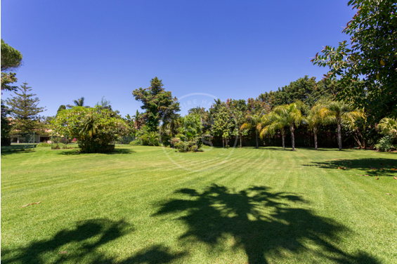 Plots and lands for sale in Marbella