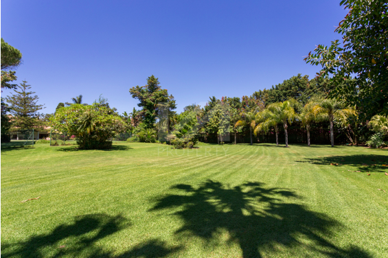 Plots and lands for sale in Marbella