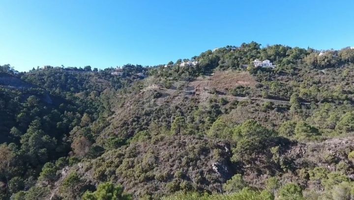 Properties for sale in El Madroñal, Benahavis